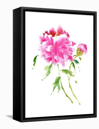 Peonies in Pink I-Nan Rae-Framed Stretched Canvas