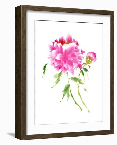 Peonies in Pink I-Nan Rae-Framed Art Print