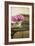 Peonies in the Parlor-Karyn Millet-Framed Photographic Print