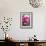 Peonies in Vase-Karyn Millet-Framed Photographic Print displayed on a wall