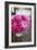 Peonies in Vase-Karyn Millet-Framed Photographic Print