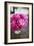 Peonies in Vase-Karyn Millet-Framed Photographic Print