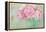 Peonies Paris Vintage-Cora Niele-Framed Premier Image Canvas