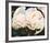 Peonies-Claude Guibert-Framed Art Print