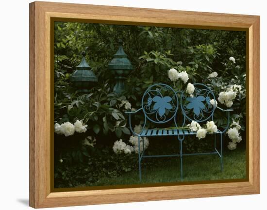 Peonies-null-Framed Premier Image Canvas