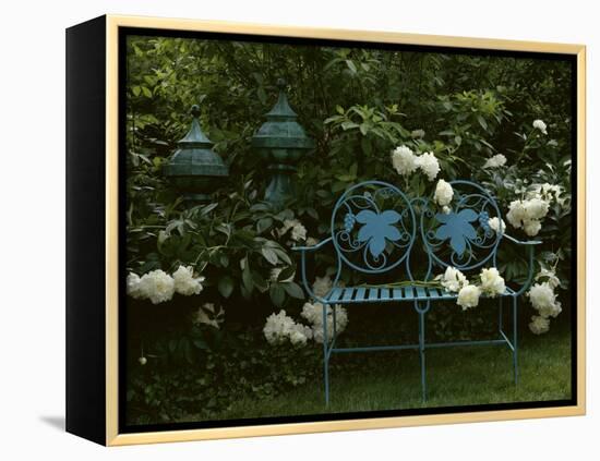 Peonies-null-Framed Premier Image Canvas