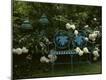 Photographic Print