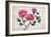 Peonies-Surovtseva-Framed Art Print