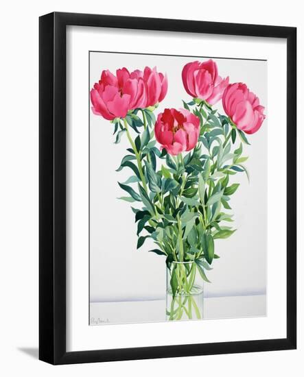 Peonies-Christopher Ryland-Framed Giclee Print