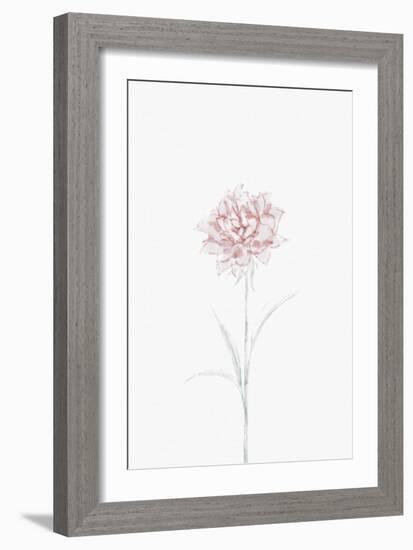 Peony 02-1x Studio II-Framed Giclee Print