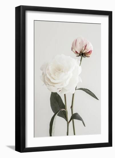 Peony 12-Pictufy Studio III-Framed Giclee Print