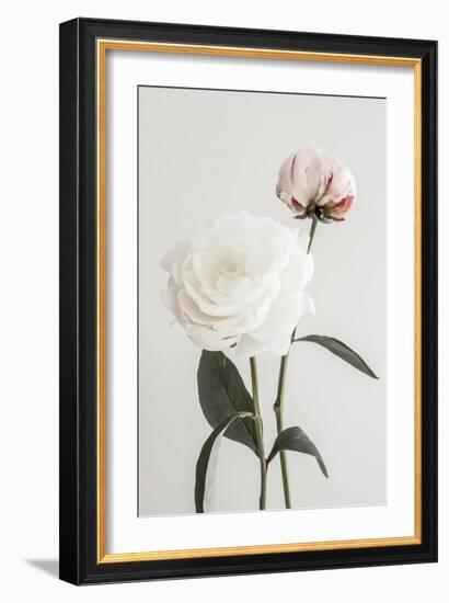 Peony 12-Pictufy Studio III-Framed Giclee Print