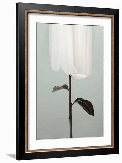 Peony 17-Pictufy Studio III-Framed Giclee Print