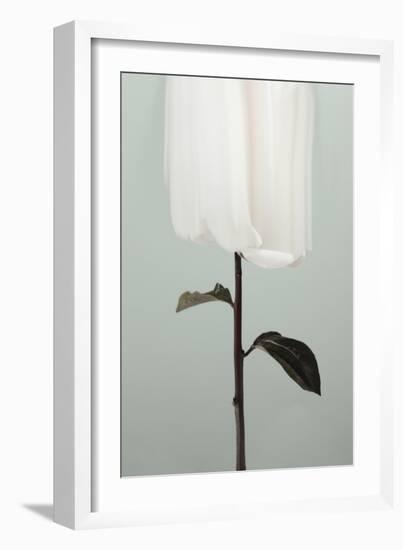 Peony 17-Pictufy Studio III-Framed Giclee Print