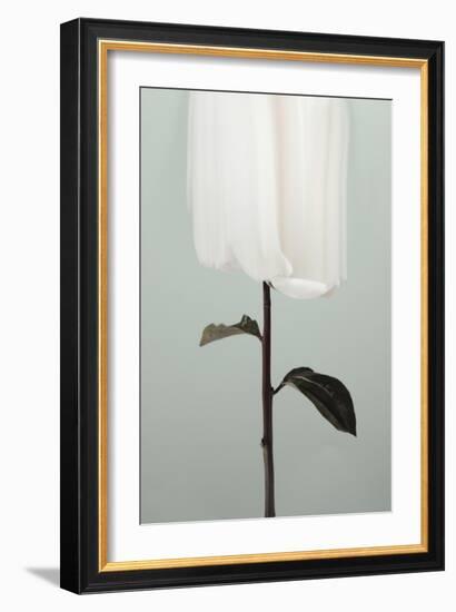 Peony 17-Pictufy Studio III-Framed Giclee Print