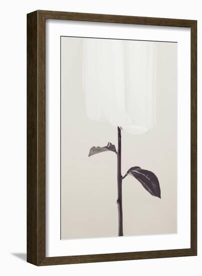 Peony 18-Pictufy Studio III-Framed Giclee Print