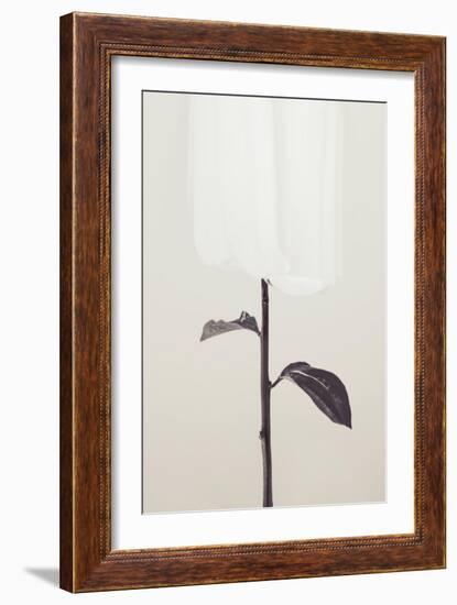 Peony 18-Pictufy Studio III-Framed Giclee Print