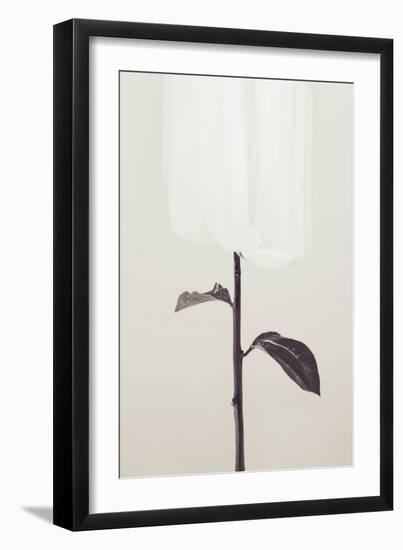 Peony 18-Pictufy Studio III-Framed Giclee Print