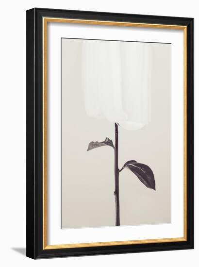 Peony 18-Pictufy Studio III-Framed Giclee Print