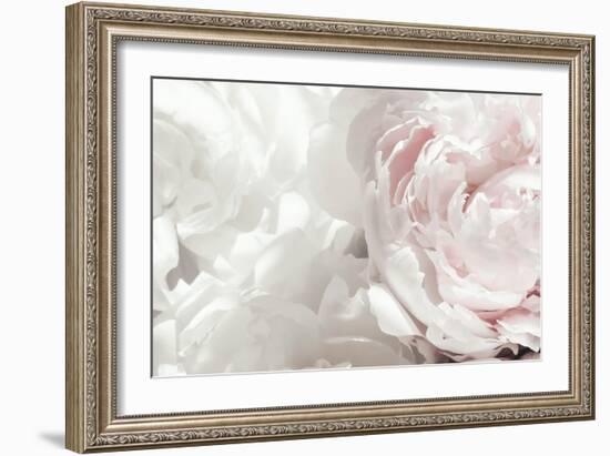 Peony 25-Pictufy Studio III-Framed Giclee Print