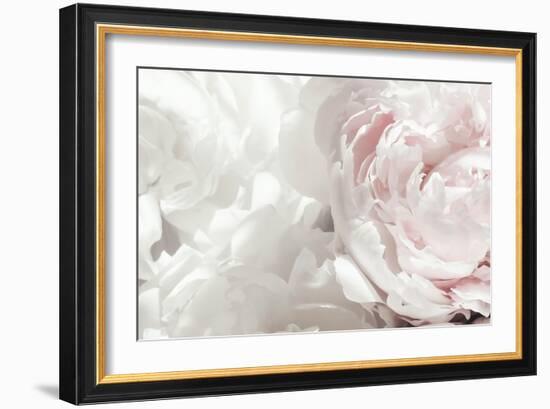 Peony 25-Pictufy Studio III-Framed Giclee Print