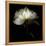 Peony 2-Magda Indigo-Framed Stretched Canvas