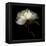 Peony 2-Magda Indigo-Framed Stretched Canvas