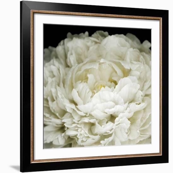 Peony 78-Doris Mitsch-Framed Photographic Print