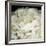 Peony 78-Doris Mitsch-Framed Photographic Print