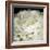 Peony 78-Doris Mitsch-Framed Photographic Print