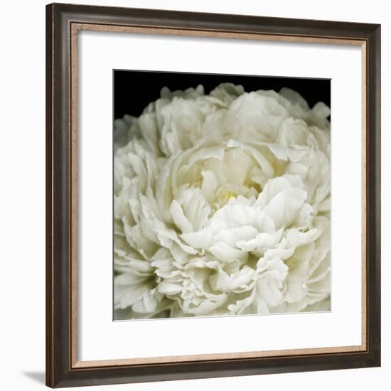 Peony 78-Doris Mitsch-Framed Photographic Print