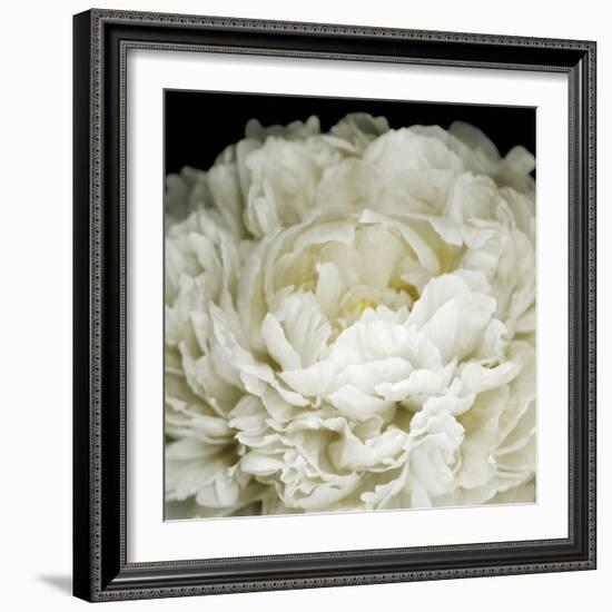 Peony 78-Doris Mitsch-Framed Photographic Print