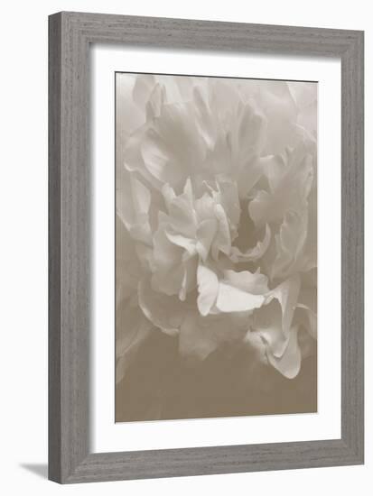 Peony_9-Pictufy Studio III-Framed Giclee Print