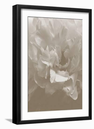 Peony_9-Pictufy Studio III-Framed Giclee Print