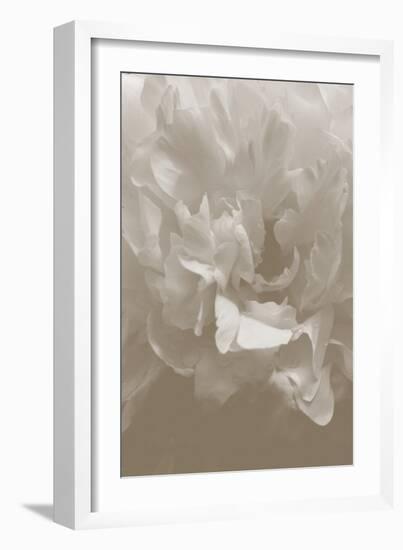 Peony_9-Pictufy Studio III-Framed Giclee Print