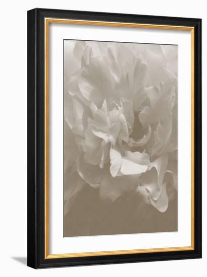 Peony_9-Pictufy Studio III-Framed Giclee Print