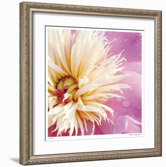 Peony Abstract-Stacy Bass-Framed Giclee Print