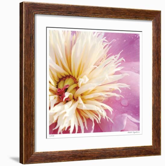 Peony Abstract-Stacy Bass-Framed Giclee Print