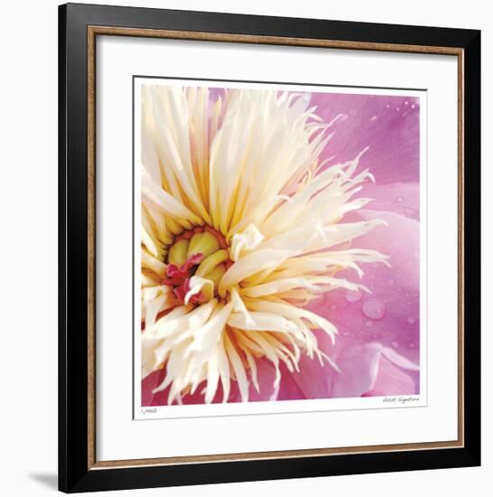 Peony Abstract-Stacy Bass-Framed Giclee Print