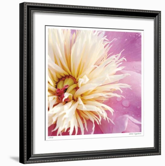 Peony Abstract-Stacy Bass-Framed Giclee Print