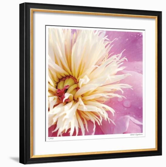 Peony Abstract-Stacy Bass-Framed Giclee Print