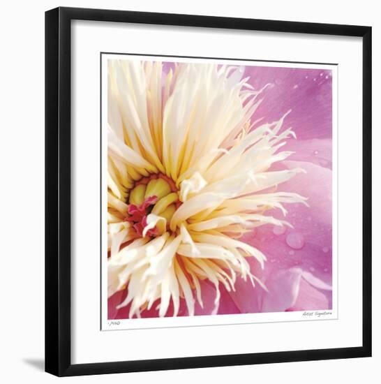 Peony Abstract-Stacy Bass-Framed Giclee Print