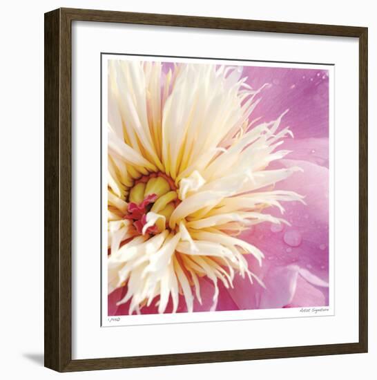 Peony Abstract-Stacy Bass-Framed Giclee Print