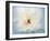 Peony Abstract-Anna Miller-Framed Photographic Print