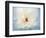 Peony Abstract-Anna Miller-Framed Photographic Print