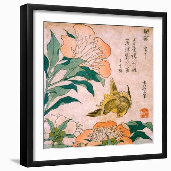 Peony and Canary by Katsushika Hokusai-Fine Art-Framed Photographic Print