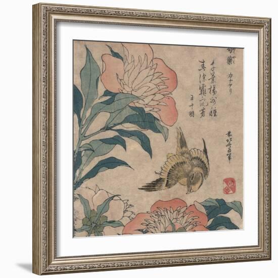 Peony and Canary, circa 1825-Katsushika Hokusai-Framed Art Print