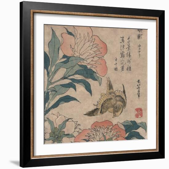 Peony and Canary, circa 1825-Katsushika Hokusai-Framed Art Print