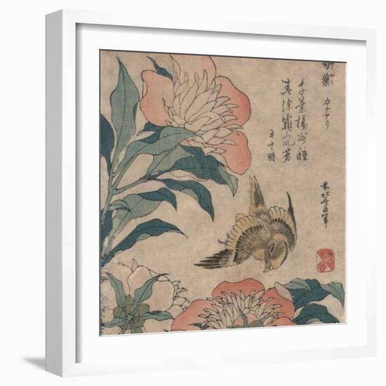 Peony and Canary, circa 1825-Katsushika Hokusai-Framed Art Print