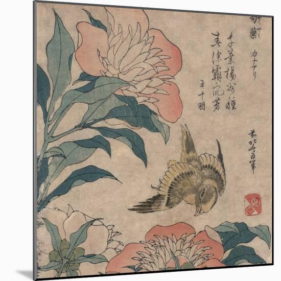 Peony and Canary, circa 1825-Katsushika Hokusai-Mounted Art Print